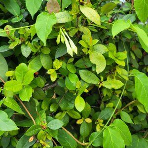 Meet your Posher, Mary alvarado